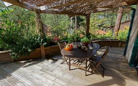 Villa sous les pins de Moliets
